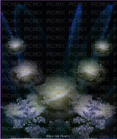 ROSES BLANCHES ILLUMINER - 免费PNG