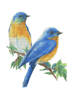 Vögel, Birds - 免费PNG