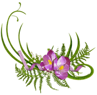 cvijeće - PNG gratuit
