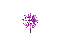 fet s34 violet purple - GIF animé gratuit