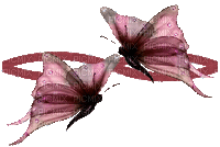 farfalle - Ilmainen animoitu GIF