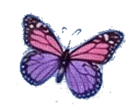 farfalla viola - png gratis