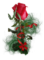 rose rouge Cheyenne63 - 無料png