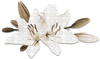 soave deco branch flowers spring lilies sepia - Free PNG