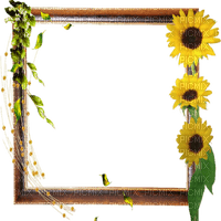 cadre frame autumn automne - darmowe png