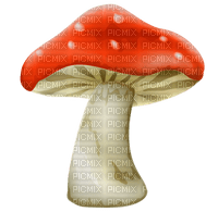 Kaz_Creations  Mushrooms Mushroom - darmowe png