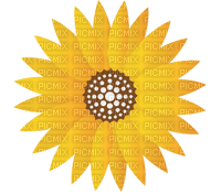 autumn sunflower Bb2 - darmowe png