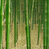 Bamboo Forest Background - безплатен png