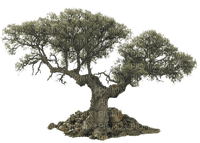 tree baum bush busch - δωρεάν png