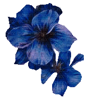 Blumen-Flowers-fleurs - GIF animado grátis