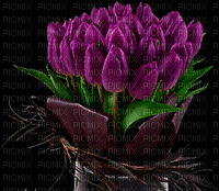 tulipán - 無料のアニメーション GIF
