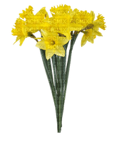 Flowers yellow bp - bezmaksas png