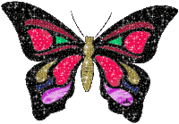 butterfly-NitsaPap - Ilmainen animoitu GIF