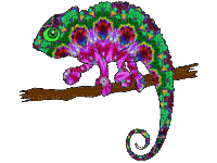 Chamäleon chameleon caméléon - Безплатен анимиран GIF
