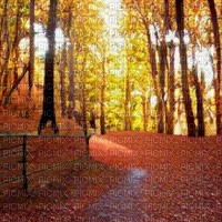 Autumn Path - png ฟรี