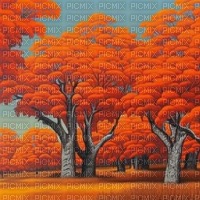Autumn Birch Tree Forest - 無料png