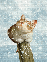 let it snow - 免费动画 GIF