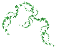 green plant - 無料png