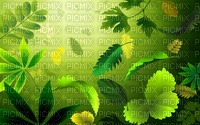 BACKGROUND - png gratuito