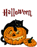 text Halloween, pumpkin, Adam64 - Free animated GIF