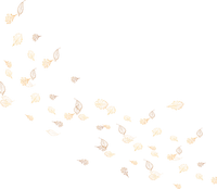 autumn leaves-minou52 - darmowe png