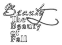 The Beauty Of Fall.Text.White.Black - zadarmo png