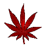 red weed - Bezmaksas animēts GIF