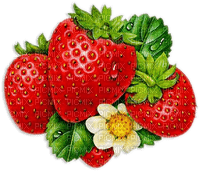 soave deco strawberry red green - PNG gratuit
