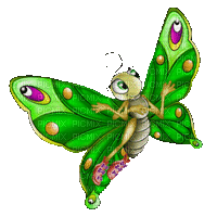farfalla - GIF animado gratis