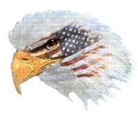 Eagle Head w Flag 02 B PNG - ilmainen png