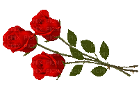 róże - Kostenlose animierte GIFs