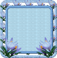 MMarcia gif cadre frame blue floral - GIF animasi gratis