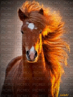 fond horse. horses bp - GIF animado grátis
