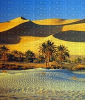 Oasis on the desert - PNG gratuit