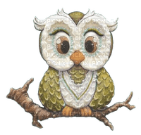nbl-owl - zdarma png