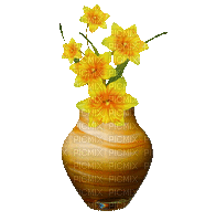 fleur-flower-vase jonquille