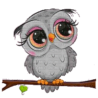 eule owl milla1959 - GIF animado grátis