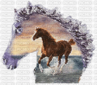 tête de cheval - 無料のアニメーション GIF