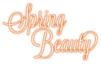 Spring Beauty.Text.Orange - KittyKatLuv65 - png ฟรี