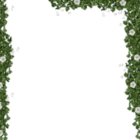 cadre feuilles fleurs - png grátis