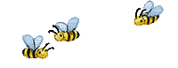 abeilles-bee