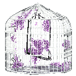 Pastel bird cage with purple - Free animated GIF
