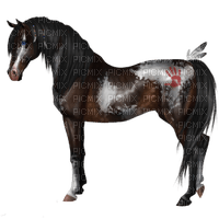 American Indian horse bp - zdarma png