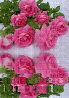 Background Roses - Ilmainen animoitu GIF