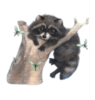kikkapink vintage painting opossum - kostenlos png
