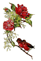 déco branche rosier - Безплатен анимиран GIF