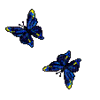 papillons - Gratis animerad GIF