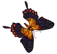 Schmetterling,  butterfly - Besplatni animirani GIF