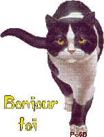 bonjour toi - Zdarma animovaný GIF