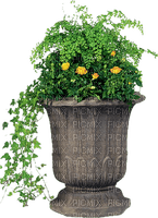 pot with flowers, sunshine3 - безплатен png